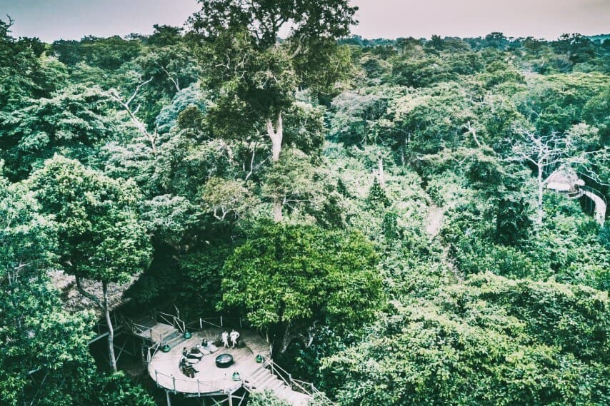 Kahuzi-Biega National Park, Democratic Republic of Congo