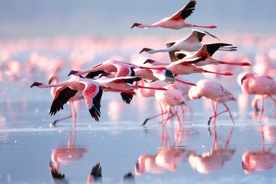 Lake Natron, Tanzania