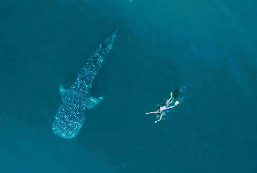 Ningaloo Reef, Australia