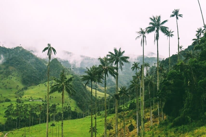 Salento and the Cocora Valley, Colombia