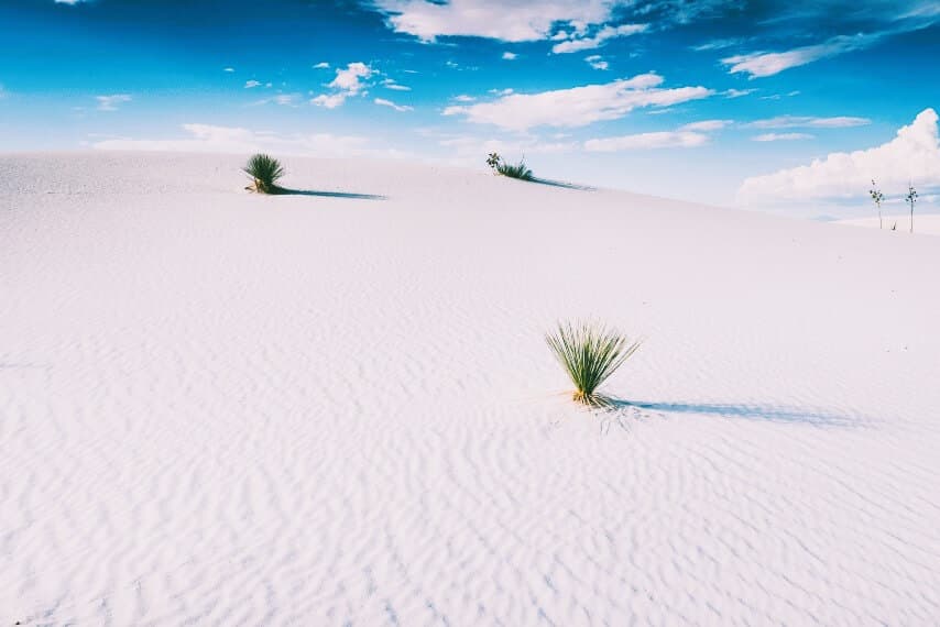 White Sands National Park, USA (New Mexico)